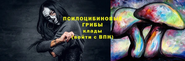 ПСИЛОЦИБИНОВЫЕ ГРИБЫ Новокубанск