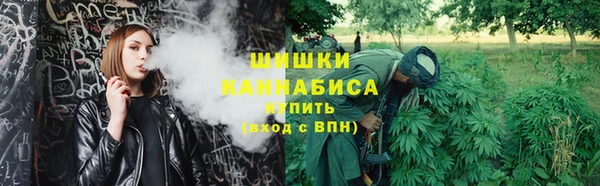 не бодяженный Новодвинск
