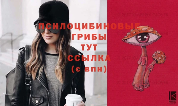 не бодяженный Новодвинск