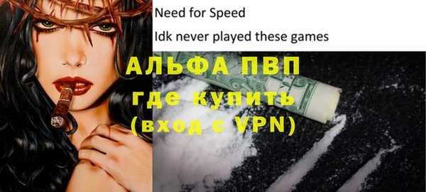 ПСИЛОЦИБИНОВЫЕ ГРИБЫ Новокубанск