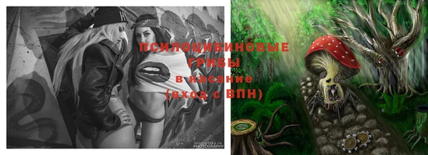 не бодяженный Новодвинск