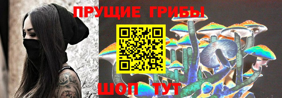Сегежа  Галлюциногенные грибы Cubensis  Вход с VPN 
