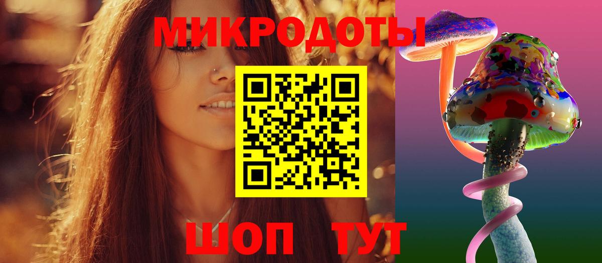 Псилоцибиновые грибы Psilocybe Сегежа